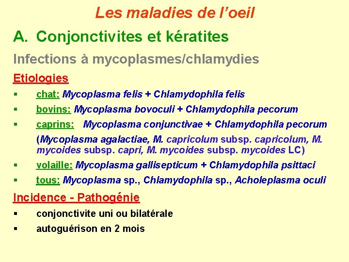 Les maladies de l’oeil A. Conjonctivites et kératites Infections à mycoplasmes/chlamydies Etiologies § chat: