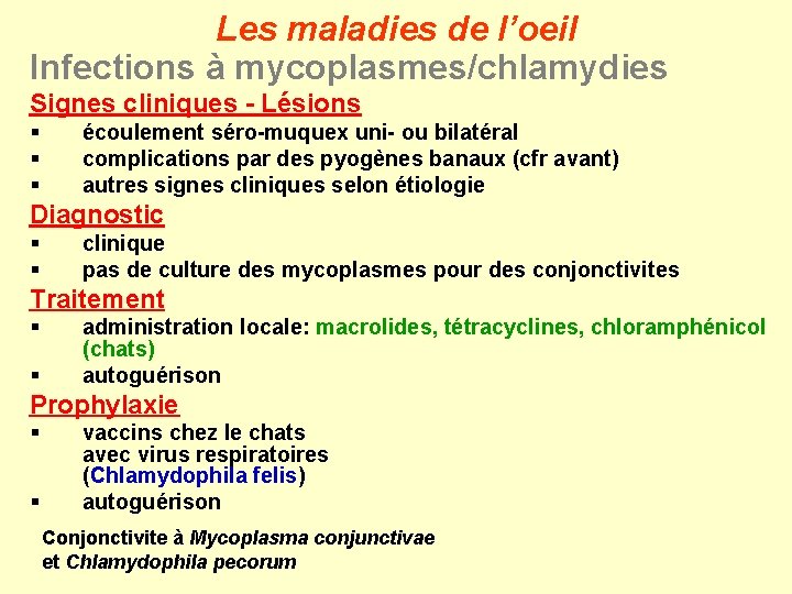 Les maladies de l’oeil Infections à mycoplasmes/chlamydies Signes cliniques - Lésions § § §