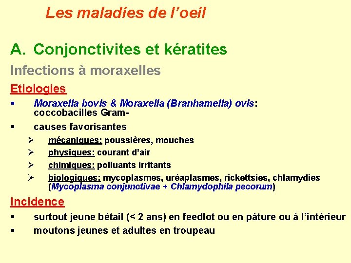 Les maladies de l’oeil A. Conjonctivites et kératites Infections à moraxelles Etiologies § §