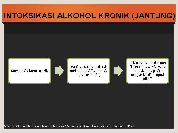 INTOKSIKASI ALKOHOL KRONIK (JANTUNG) Konsumsi alkohol kronik Peningkatan jumlah sel dari LCA-Positif , limfosit