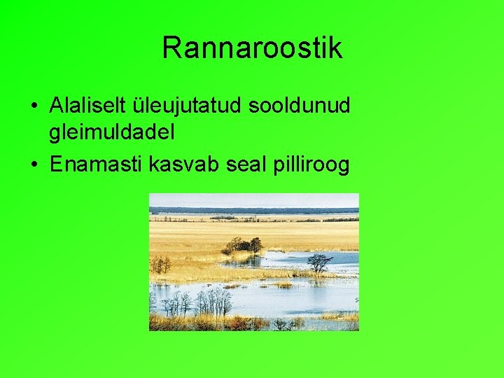 Rannaroostik • Alaliselt üleujutatud sooldunud gleimuldadel • Enamasti kasvab seal pilliroog 