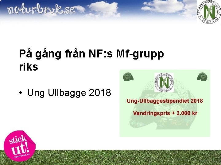 På gång från NF: s Mf-grupp riks • Ung Ullbagge 2018 
