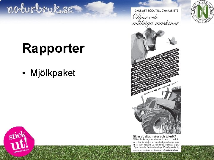 Rapporter • Mjölkpaket 