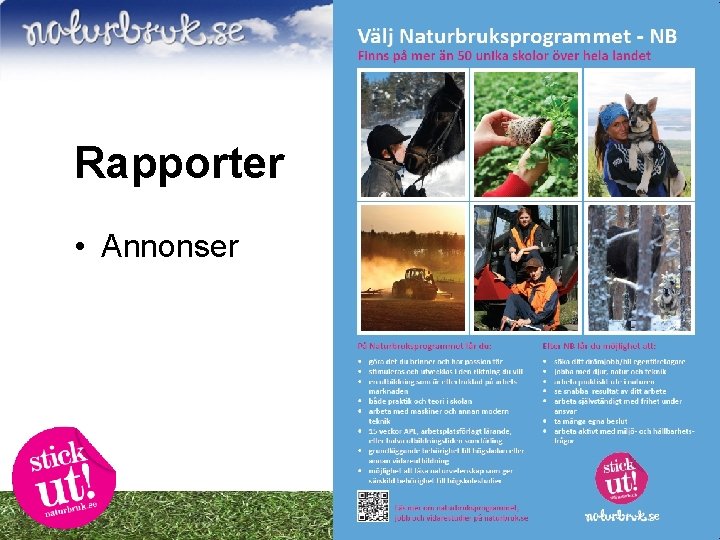 Rapporter • Annonser 8 