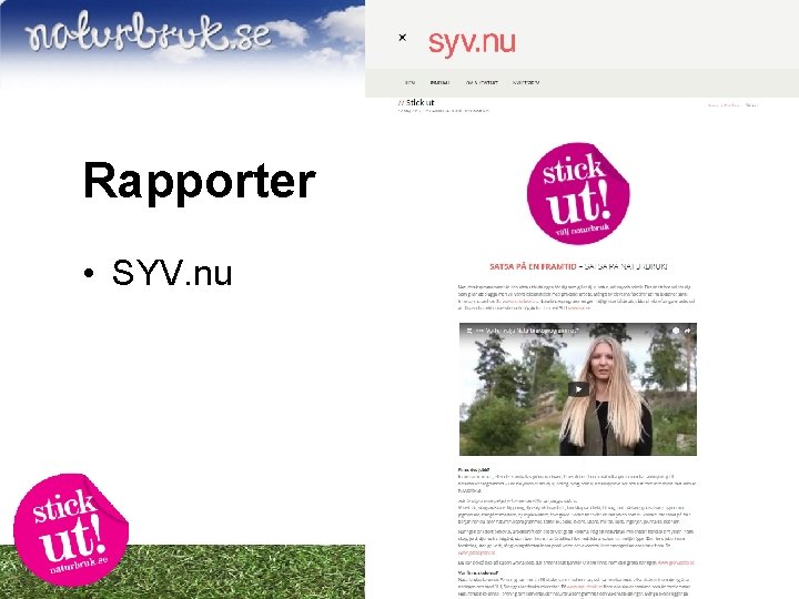 Rapporter • SYV. nu 