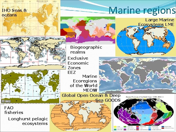 Marine regions IHO Seas & oceans Large Marine Ecosystems LME Biogeographic realms Exclusive Economic