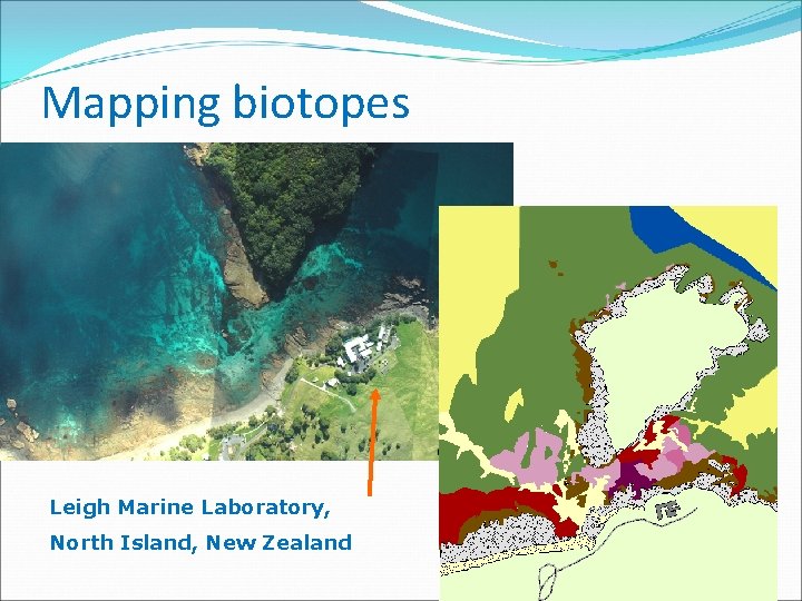 Mapping biotopes Leigh Marine Laboratory, North Island, New Zealand 