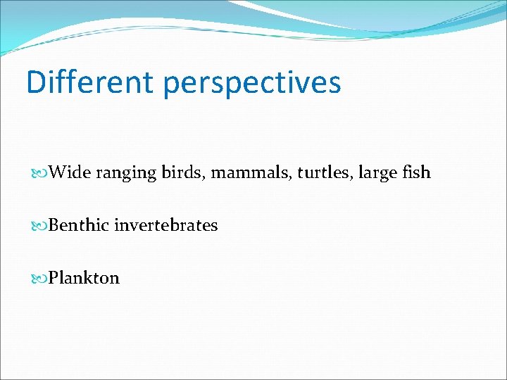 Different perspectives Wide ranging birds, mammals, turtles, large fish Benthic invertebrates Plankton 