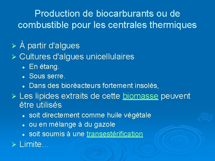 Production de biocarburants ou de combustible pour les centrales thermiques À partir d'algues Ø