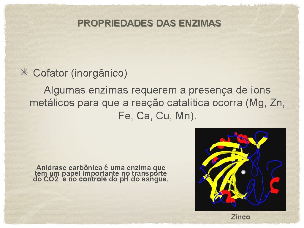 PROPRIEDADES DAS ENZIMAS Cofator (inorgânico) Algumas enzimas requerem a presença de íons metálicos para