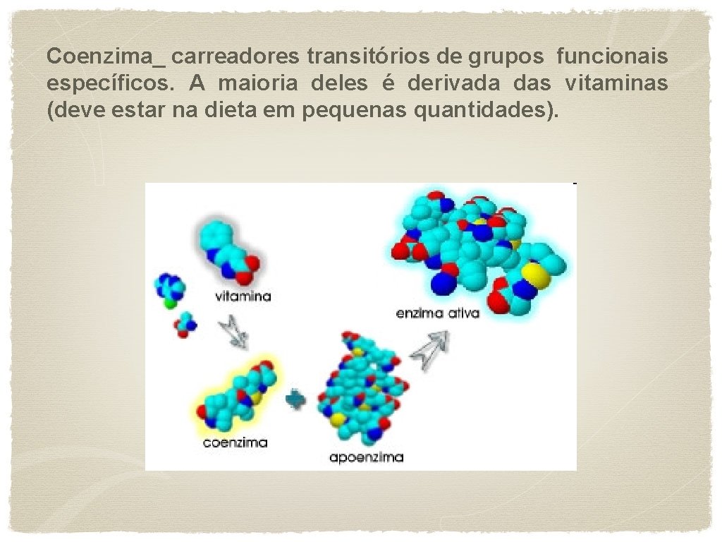 Coenzima_ carreadores transitórios de grupos funcionais específicos. A maioria deles é derivada das vitaminas