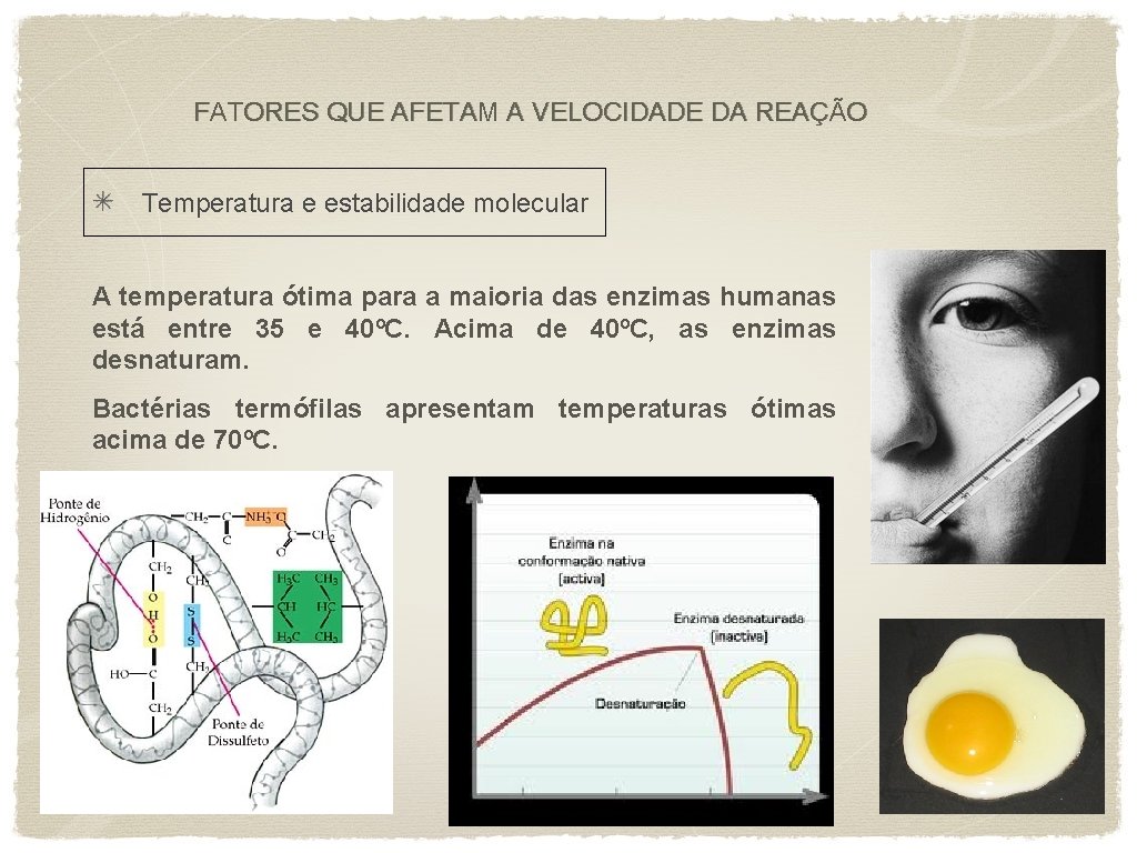 FATORES QUE AFETAM A VELOCIDADE DA REAÇÃO Temperatura e estabilidade molecular A temperatura ótima