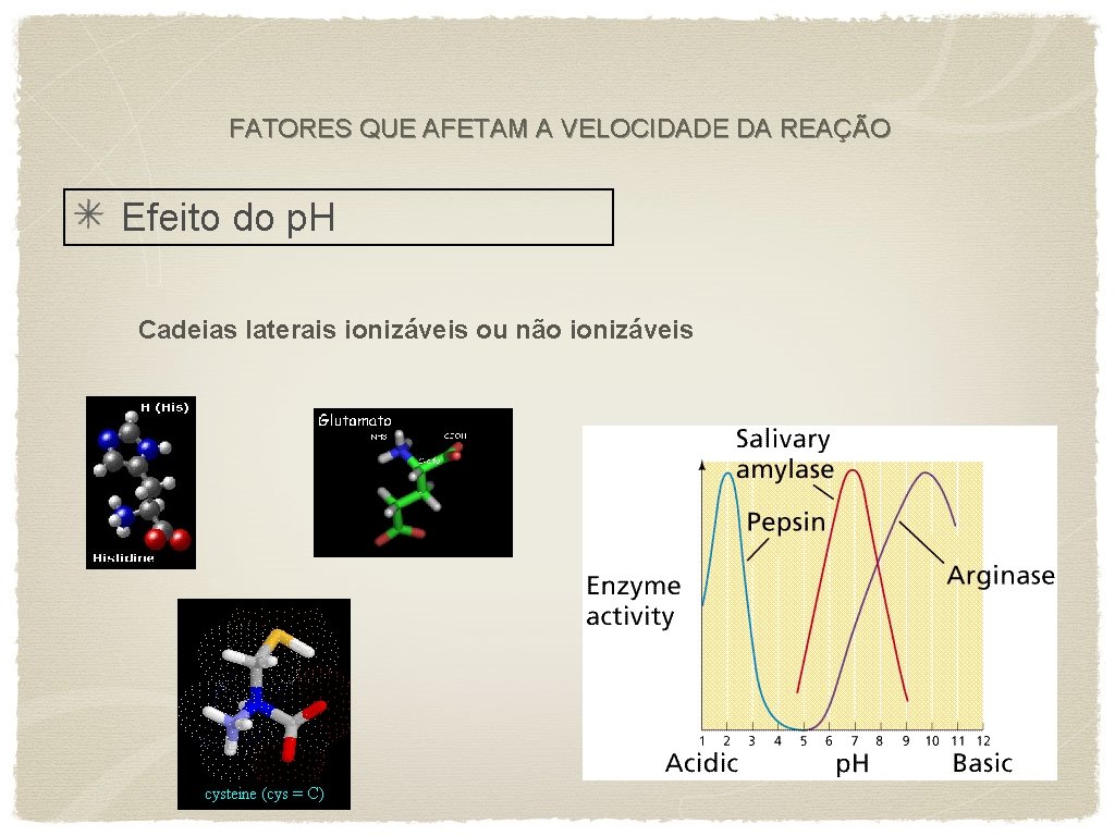 FATORES QUE AFETAM A VELOCIDADE DA REAÇÃO Efeito do p. H Cadeias laterais ionizáveis