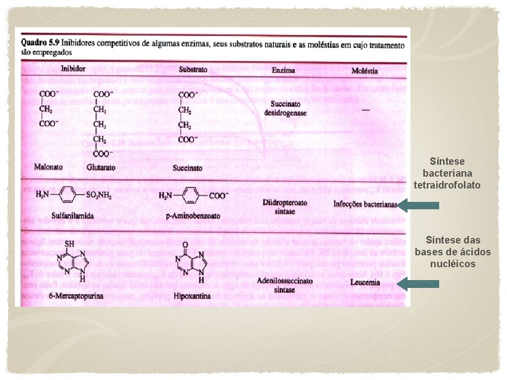 Síntese bacteriana tetraidrofolato Síntese das bases de ácidos nucléicos 