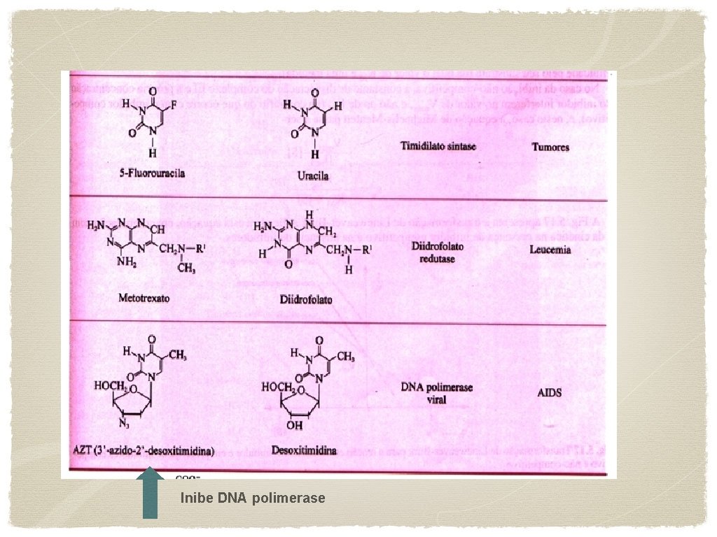 Inibe DNA polimerase 