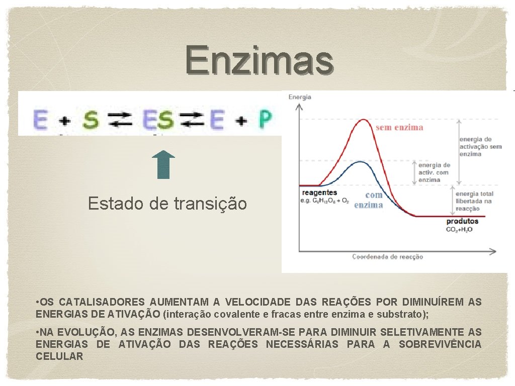 Enzimas Estado de transição • OS CATALISADORES AUMENTAM A VELOCIDADE DAS REAÇÕES POR DIMINUÍREM