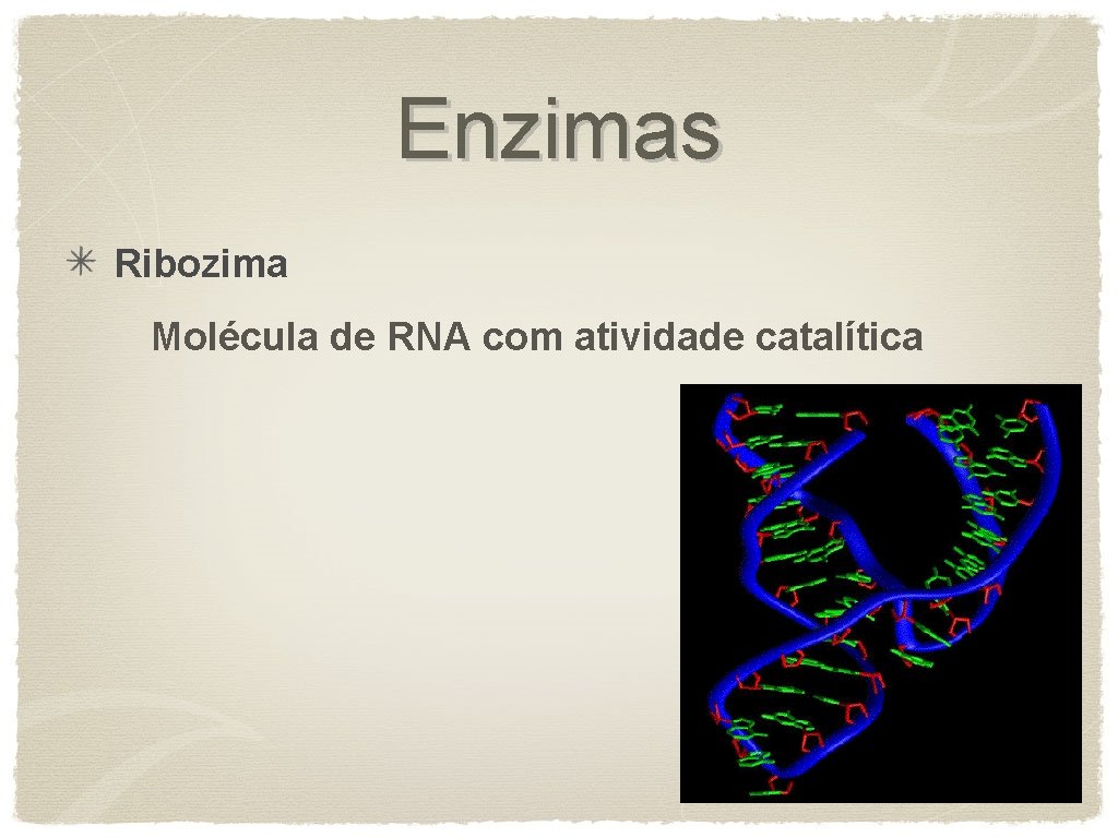 Enzimas Ribozima Molécula de RNA com atividade catalítica 