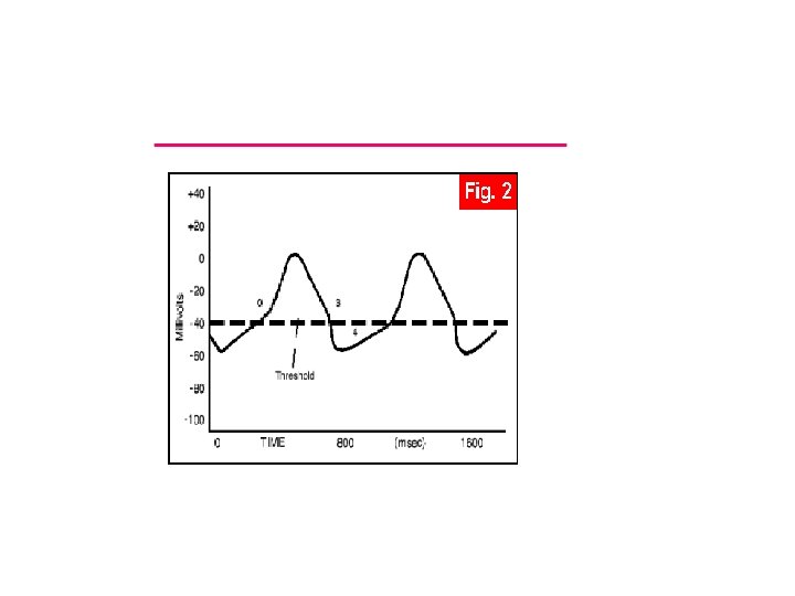 Action potential in SAN 