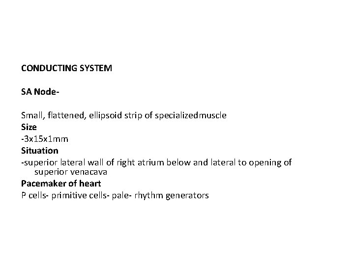 CONDUCTING SYSTEM SA Node- Small, flattened, ellipsoid strip of specializedmuscle Size -3 x 15