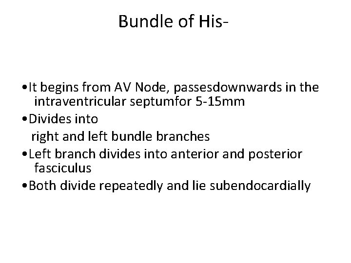 Bundle of His- • It begins from AV Node, passesdownwards in the intraventricular septumfor