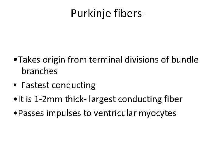 Purkinje fibers- • Takes origin from terminal divisions of bundle branches • Fastest conducting