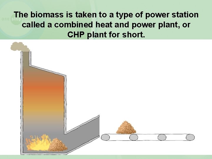 The biomass is taken to a type of power station called a combined heat