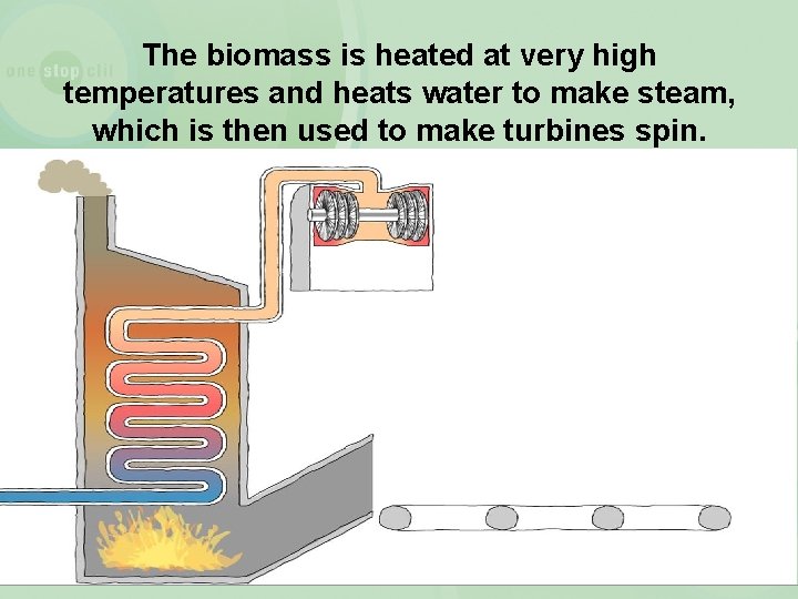 The biomass is heated at very high temperatures and heats water to make steam,