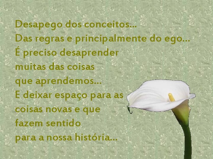 Desapego dos conceitos. . . Das regras e principalmente do ego. . . É