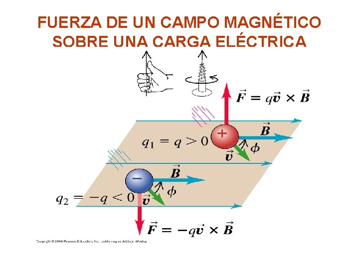 FUERZA DE UN CAMPO MAGNÉTICO SOBRE UNA CARGA ELÉCTRICA 