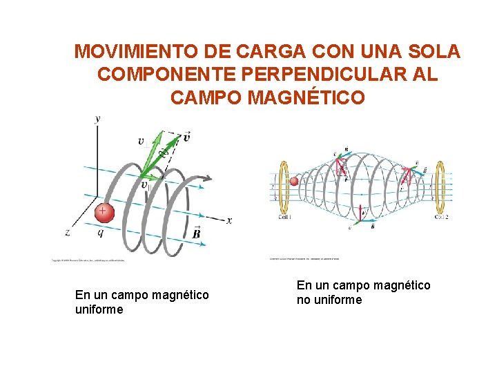 MOVIMIENTO DE CARGA CON UNA SOLA COMPONENTE PERPENDICULAR AL CAMPO MAGNÉTICO En un campo