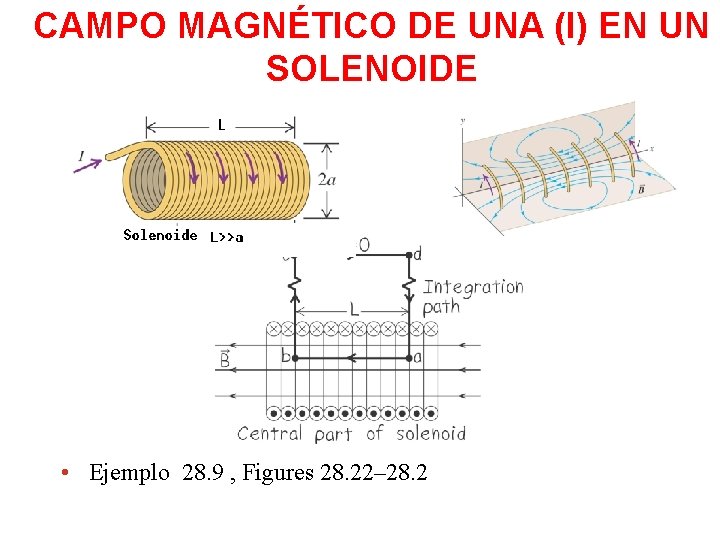 CAMPO MAGNÉTICO DE UNA (I) EN UN SOLENOIDE • Ejemplo 28. 9 , Figures