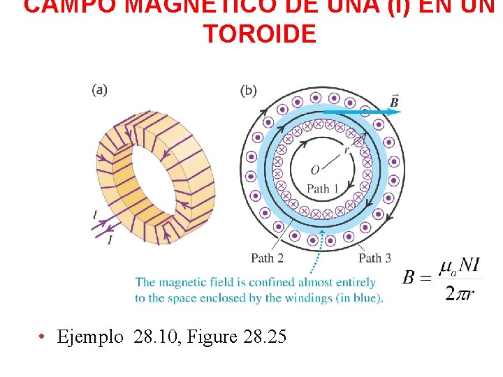 CAMPO MAGNÉTICO DE UNA (I) EN UN TOROIDE • Ejemplo 28. 10, Figure 28.