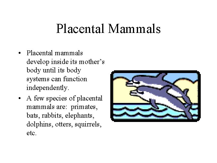 Placental Mammals • Placental mammals develop inside its mother’s body until its body systems