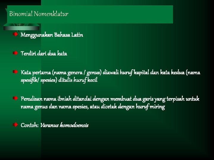 Binomial Nomenklatur Menggunakan Bahasa Latin Terdiri dari dua kata Kata pertama (nama genera /