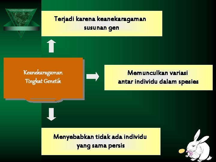 Terjadi karena keanekaragaman susunan gen Keanekaragaman Tingkat Genetik Memunculkan variasi antar individu dalam spesies