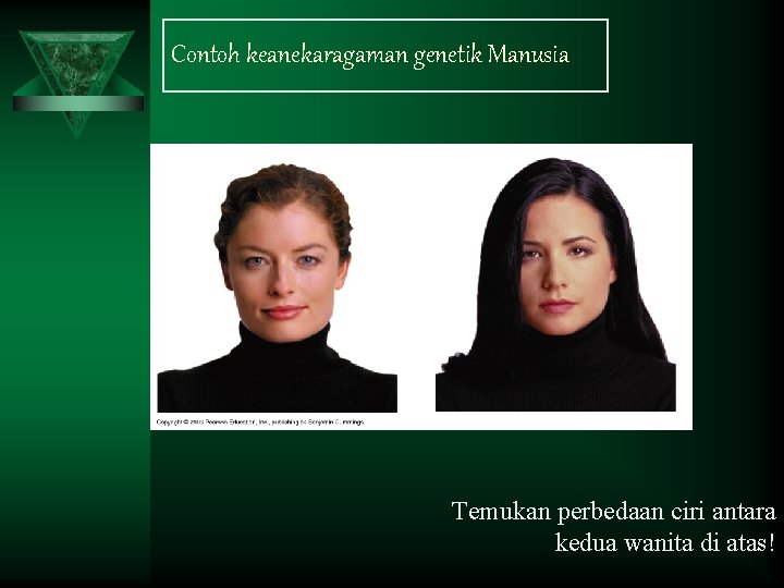 Contoh keanekaragaman genetik Manusia Temukan perbedaan ciri antara kedua wanita di atas! 