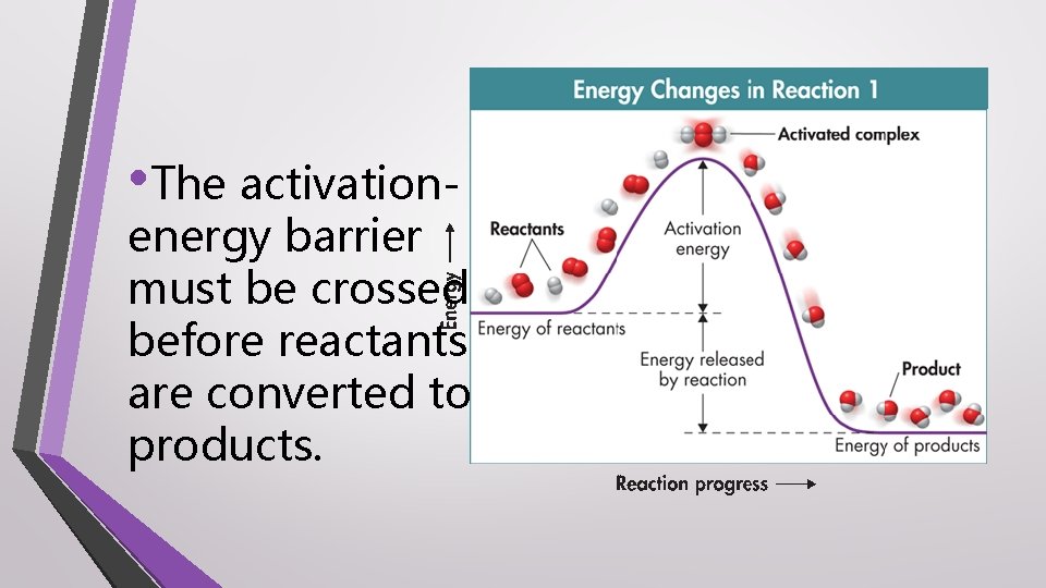  • The activation- energy barrier must be crossed before reactants are converted to