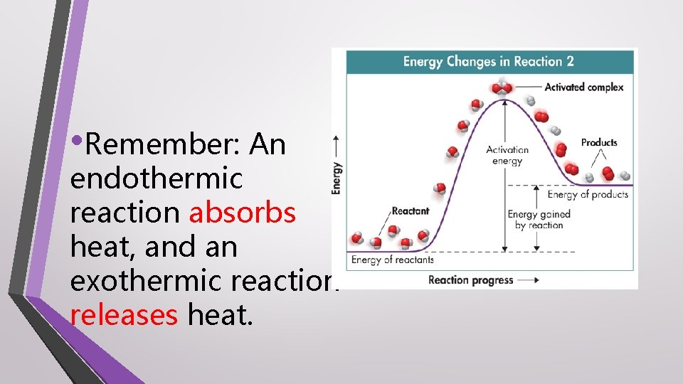  • Remember: An endothermic reaction absorbs heat, and an exothermic reaction releases heat.