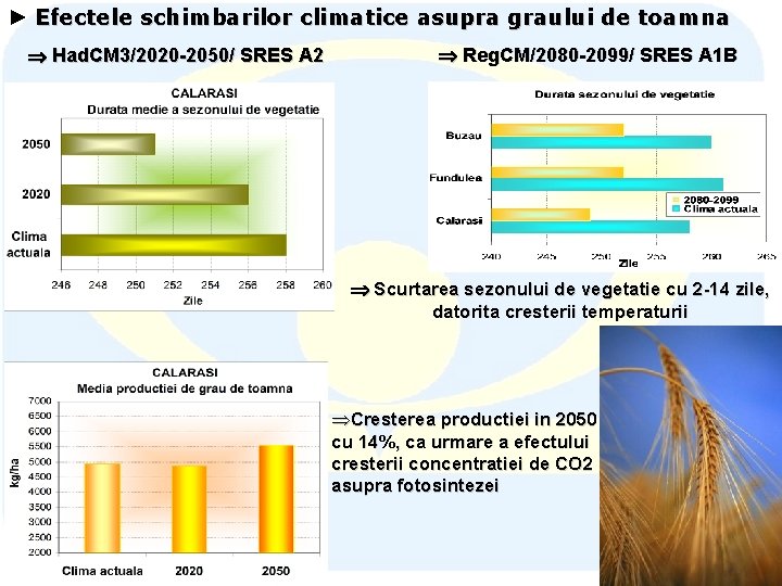 ► Efectele schimbarilor climatice asupra graului de toamna Had. CM 3/2020 -2050/ SRES A