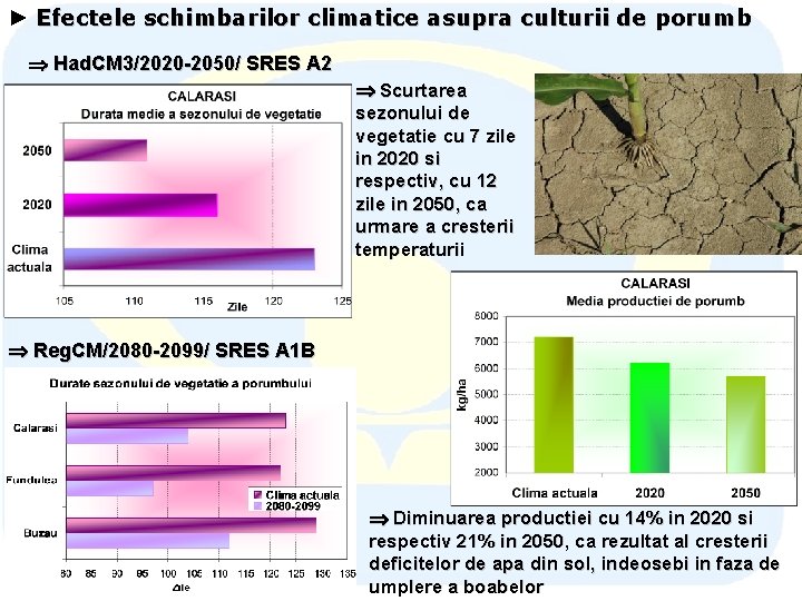 ► Efectele schimbarilor climatice asupra culturii de porumb Had. CM 3/2020 -2050/ SRES A