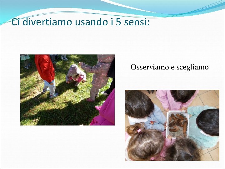 Ci divertiamo usando i 5 sensi: Osserviamo e scegliamo 