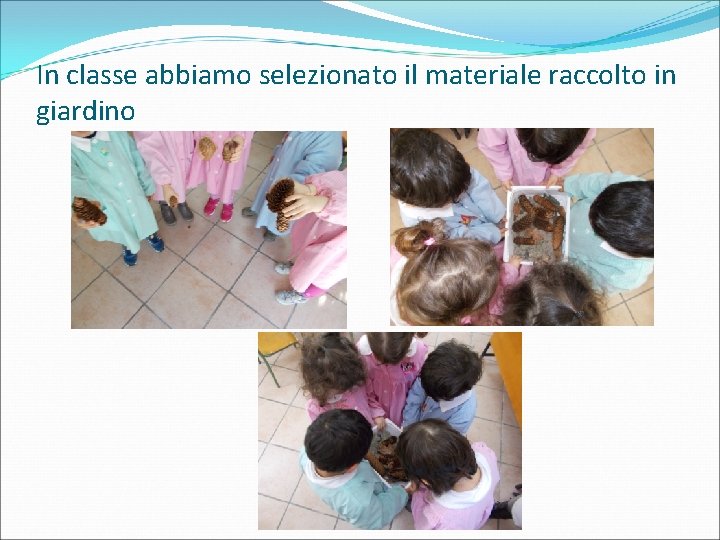 In classe abbiamo selezionato il materiale raccolto in giardino 