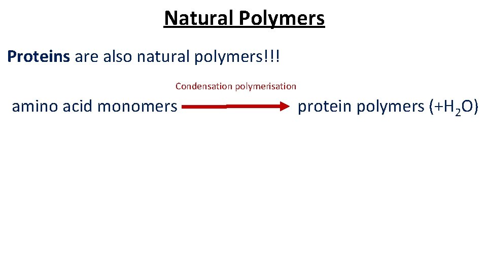 Natural Polymers Proteins are also natural polymers!!! Condensation polymerisation amino acid monomers protein polymers