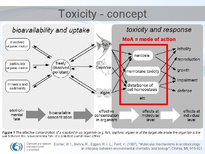 Toxicity - concept Mo. A = mode of action Escher, B. I. , Behra,