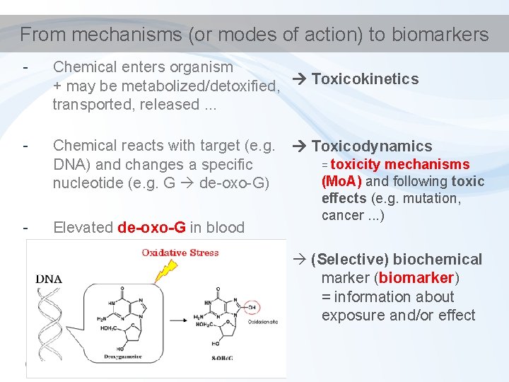 From mechanisms (or modes of action) to biomarkers - Chemical enters organism + may