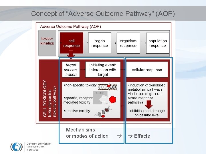 Concept of “Adverse Outcome Pathway” (AOP) Mechanisms or modes of action Effects 
