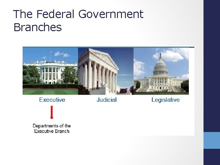 The Federal Government Branches 