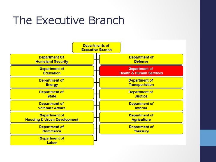 The Executive Branch 