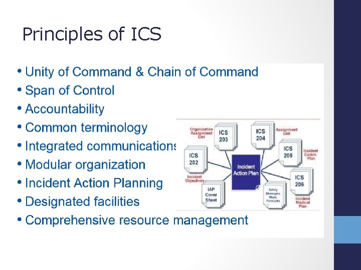 Principles of ICS 