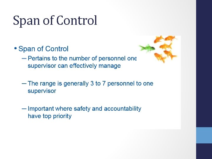 Span of Control 